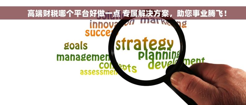     高端财税哪个平台好做一点 专属解决方案，助您事业腾飞！