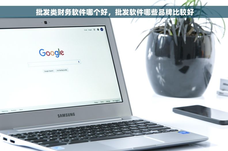  批发类财务软件哪个好，批发软件哪些品牌比较好