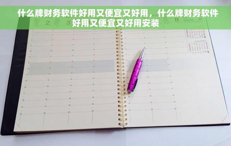   什么牌财务软件好用又便宜又好用，什么牌财务软件好用又便宜又好用安装