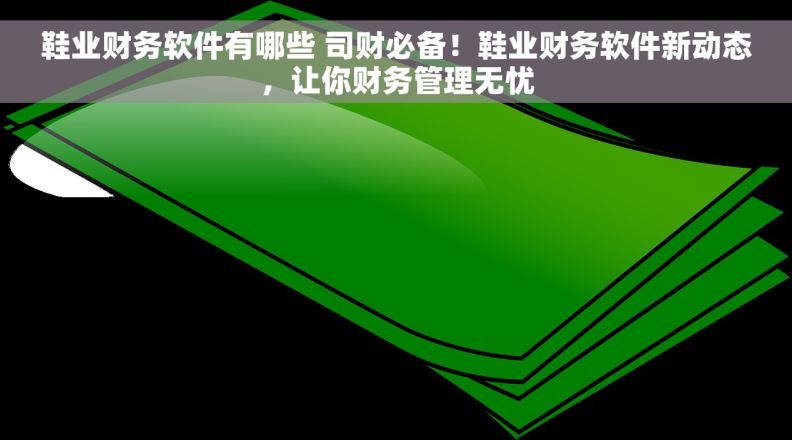鞋业财务软件有哪些 司财必备！鞋业财务软件新动态，让你财务管理无忧