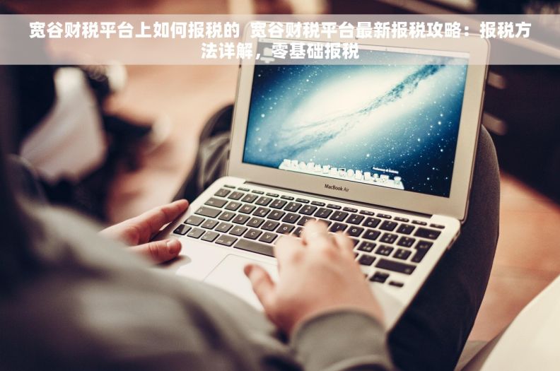 宽谷财税平台上如何报税的  宽谷财税平台最新报税攻略：报税方法详解，零基础报税