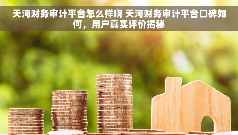 天河财务审计平台怎么样啊 天河财务审计平台口碑如何，用户真实评价揭秘