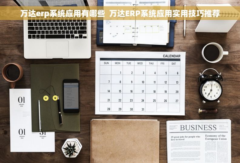 万达erp系统应用有哪些  万达ERP系统应用实用技巧推荐