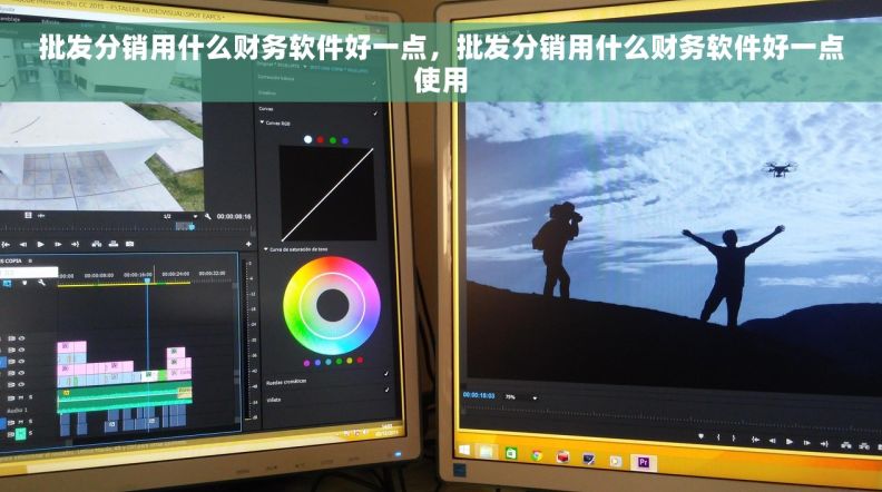 批发分销用什么财务软件好一点，批发分销用什么财务软件好一点使用