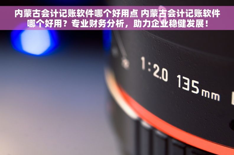 内蒙古会计记账软件哪个好用点 内蒙古会计记账软件哪个好用？专业财务分析，助力企业稳健发展！