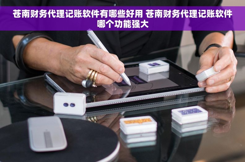 苍南财务代理记账软件有哪些好用 苍南财务代理记账软件哪个功能强大