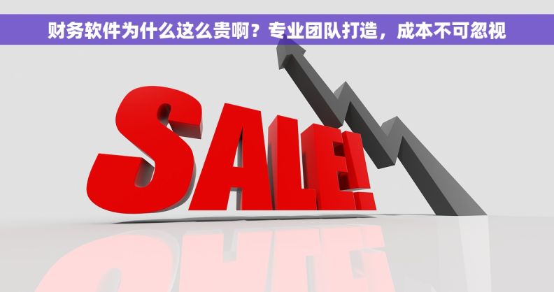 财务软件为什么这么贵啊？专业团队打造，成本不可忽视
