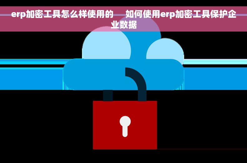 erp加密工具怎么样使用的     如何使用erp加密工具保护企业数据