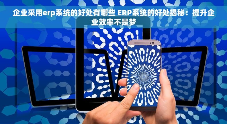企业采用erp系统的好处有哪些 ERP系统的好处揭秘：提升企业效率不是梦