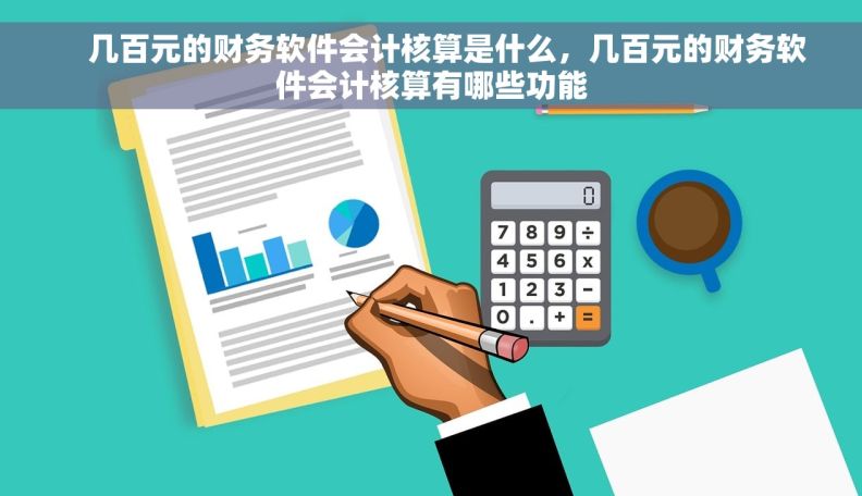     几百元的财务软件会计核算是什么，几百元的财务软件会计核算有哪些功能