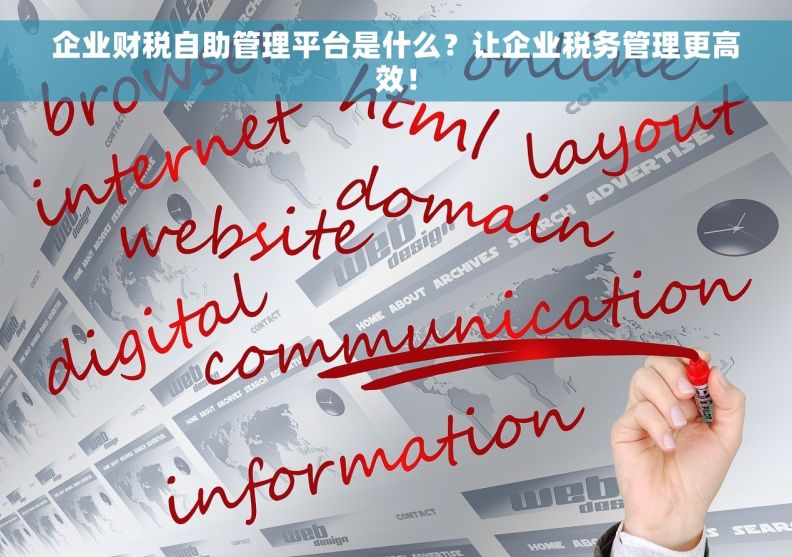 企业财税自助管理平台是什么？让企业税务管理更高效！