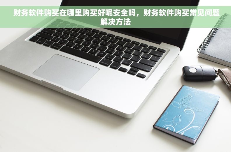  财务软件购买在哪里购买好呢安全吗，财务软件购买常见问题解决方法