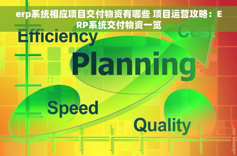 erp系统相应项目交付物资有哪些 项目运营攻略：ERP系统交付物资一览
