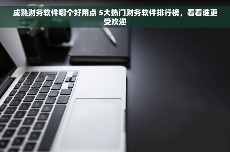 成熟财务软件哪个好用点 5大热门财务软件排行榜，看看谁更受欢迎