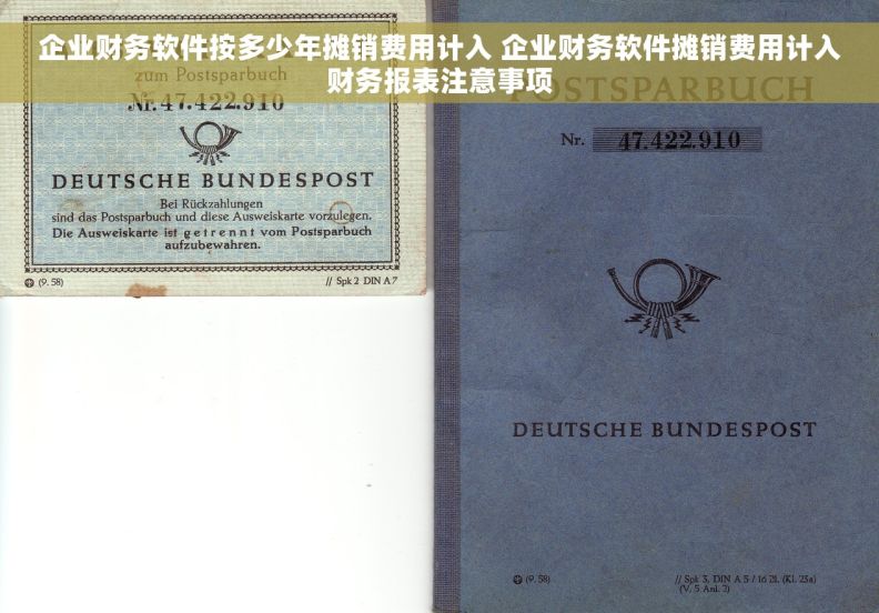 企业财务软件按多少年摊销费用计入 企业财务软件摊销费用计入财务报表注意事项