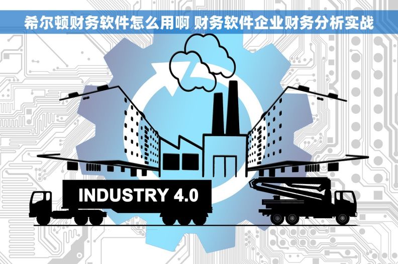 希尔顿财务软件怎么用啊 财务软件企业财务分析实战