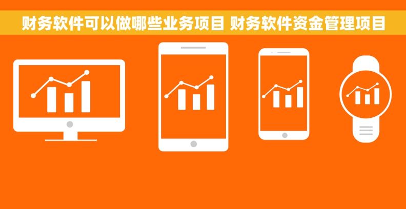 财务软件可以做哪些业务项目 财务软件资金管理项目