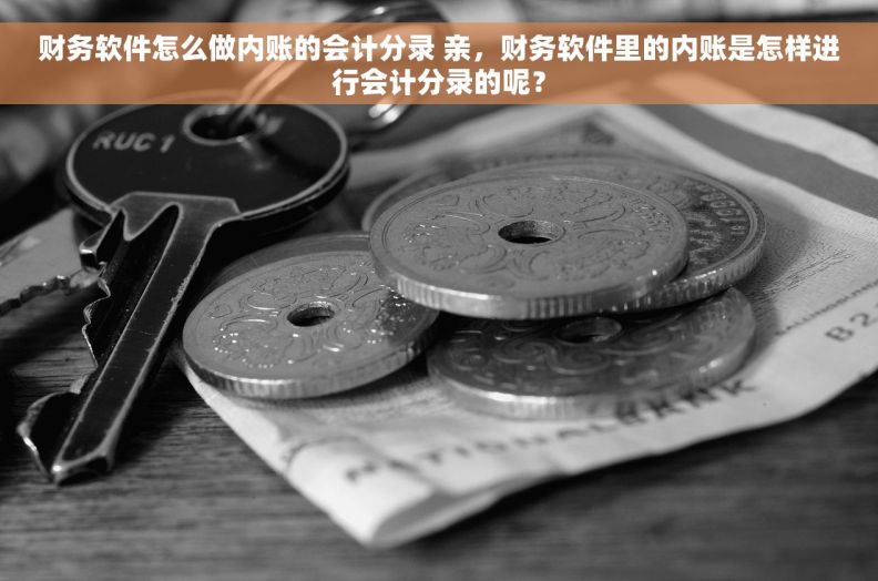 财务软件怎么做内账的会计分录 亲，财务软件里的内账是怎样进行会计分录的呢？