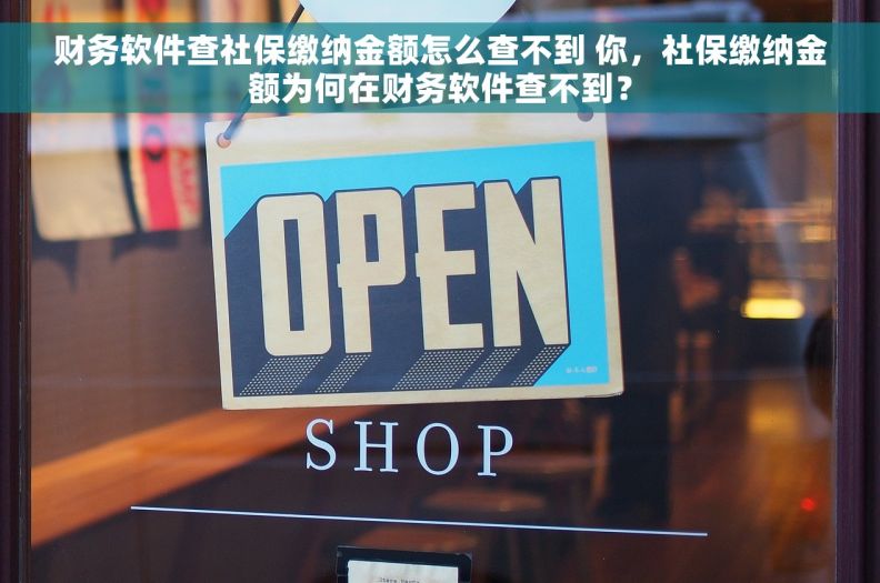 财务软件查社保缴纳金额怎么查不到 你，社保缴纳金额为何在财务软件查不到？
