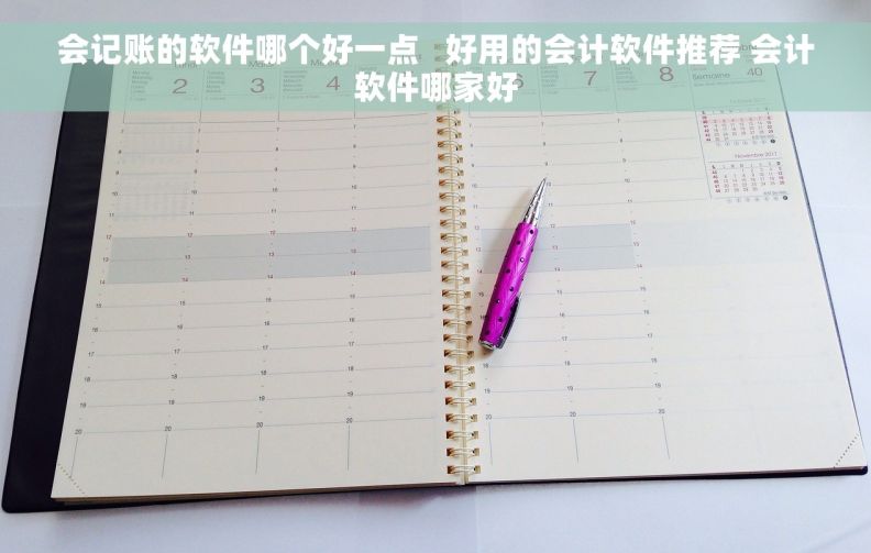 会记账的软件哪个好一点   好用的会计软件推荐 会计软件哪家好