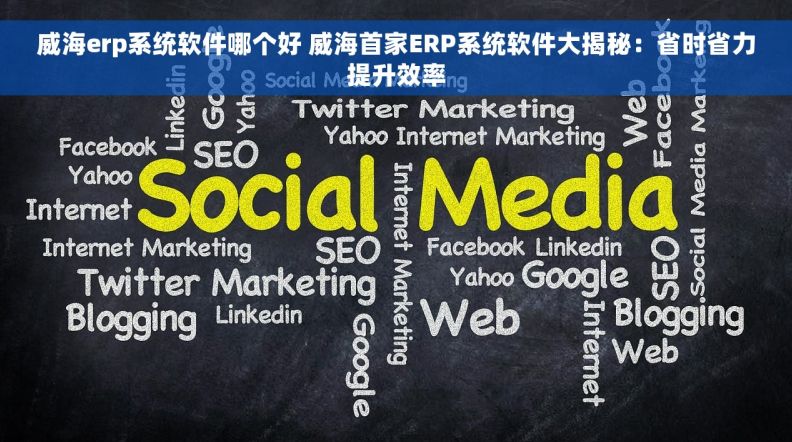 威海erp系统软件哪个好 威海首家ERP系统软件大揭秘：省时省力提升效率