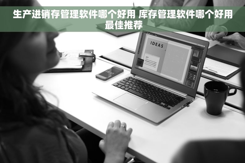 生产进销存管理软件哪个好用 库存管理软件哪个好用 最佳推荐