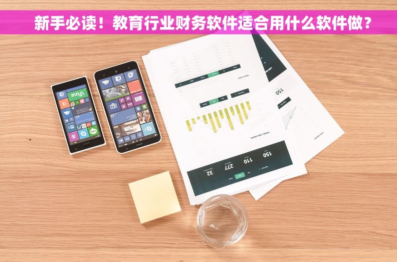   新手必读！教育行业财务软件适合用什么软件做？