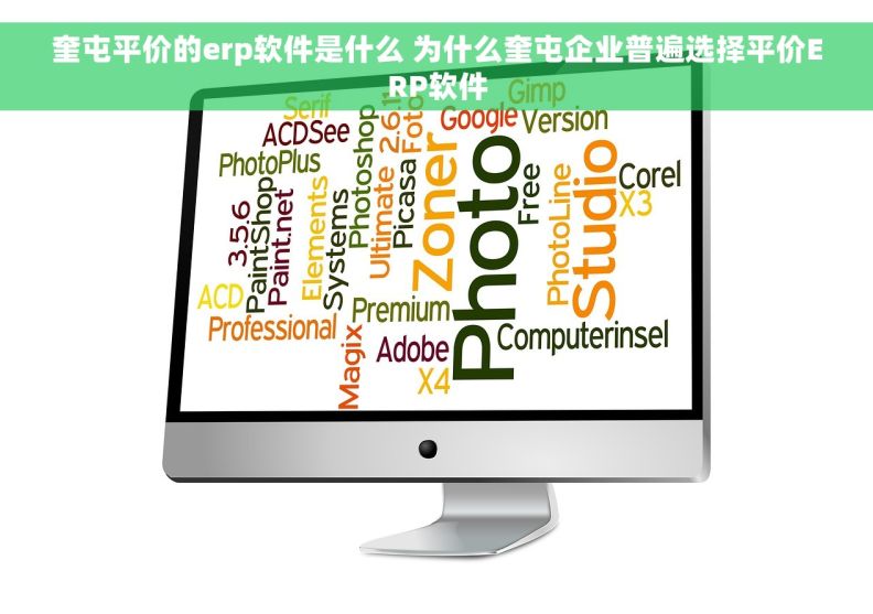 奎屯平价的erp软件是什么 为什么奎屯企业普遍选择平价ERP软件