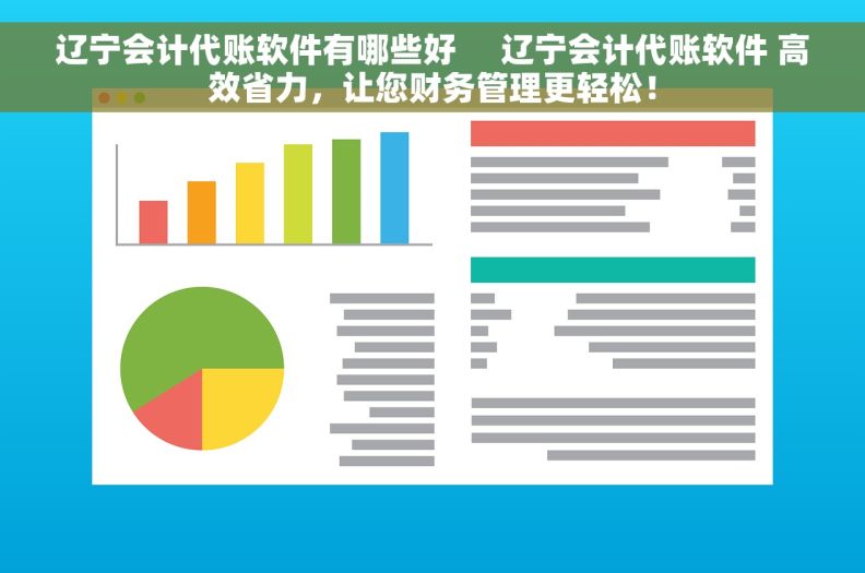 辽宁会计代账软件有哪些好     辽宁会计代账软件 高效省力，让您财务管理更轻松！