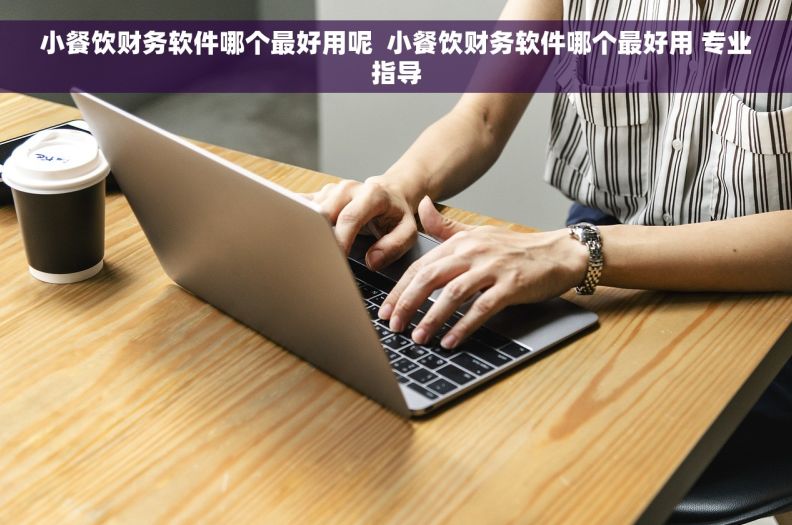 小餐饮财务软件哪个最好用呢  小餐饮财务软件哪个最好用 专业指导
