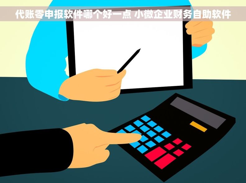 代账零申报软件哪个好一点 小微企业财务自助软件