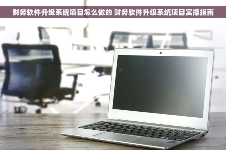 财务软件升级系统项目怎么做的 财务软件升级系统项目实操指南