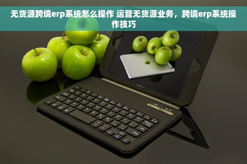 无货源跨境erp系统怎么操作 运营无货源业务，跨境erp系统操作技巧