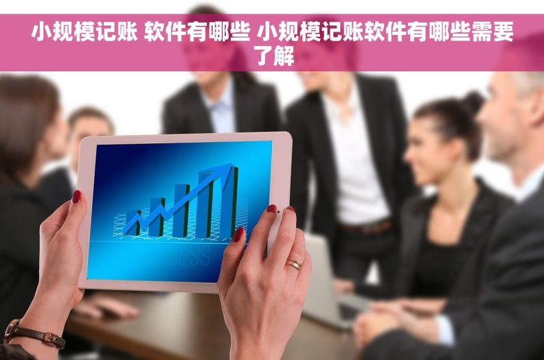 小规模记账 软件有哪些 小规模记账软件有哪些需要了解