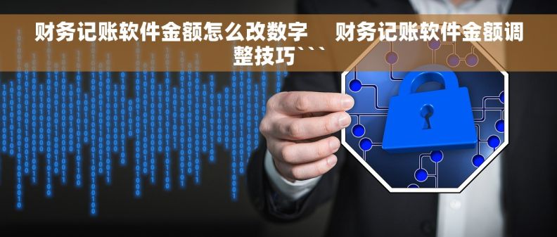 财务记账软件金额怎么改数字     财务记账软件金额调整技巧```