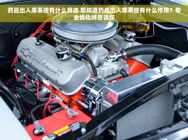 药品出入库系统有什么用途 想知道药品出入库系统有什么作用？专业优化师告诉你