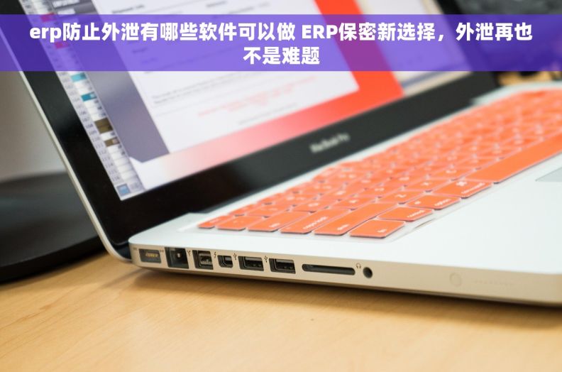 erp防止外泄有哪些软件可以做 ERP保密新选择，外泄再也不是难题