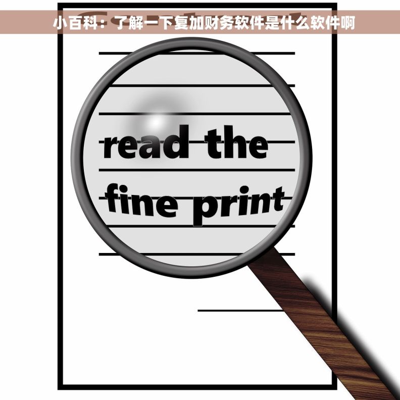   小百科：了解一下复加财务软件是什么软件啊