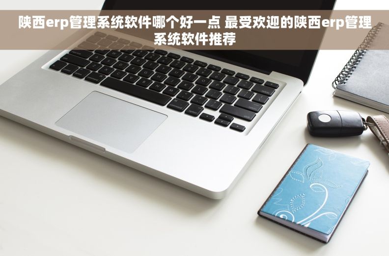陕西erp管理系统软件哪个好一点 最受欢迎的陕西erp管理系统软件推荐