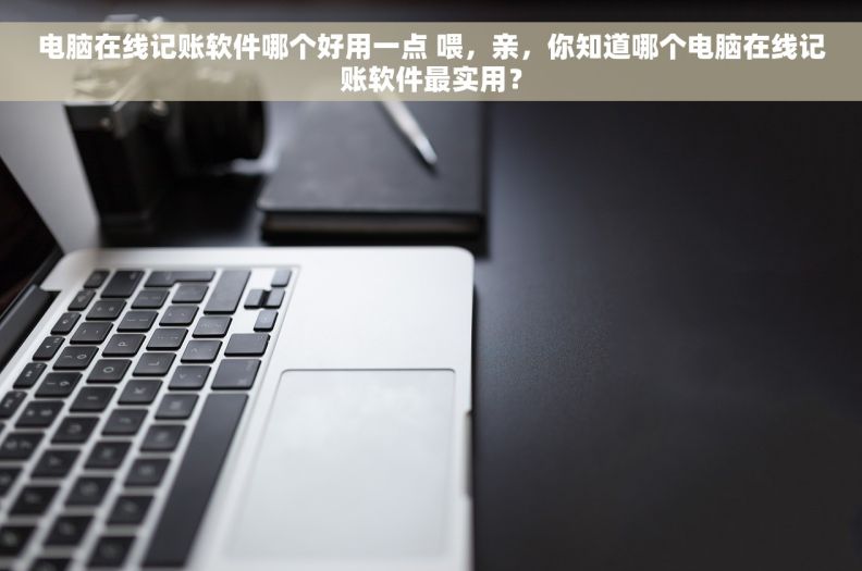 电脑在线记账软件哪个好用一点 喂，亲，你知道哪个电脑在线记账软件最实用？