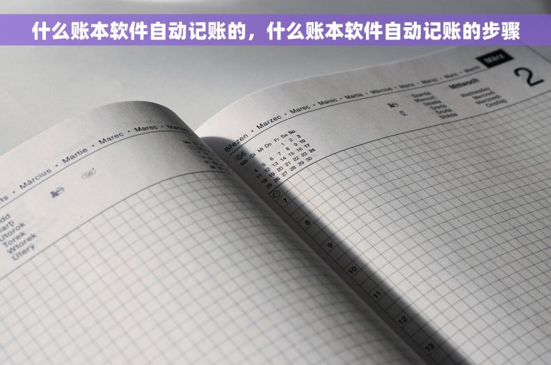 什么账本软件自动记账的，什么账本软件自动记账的步骤