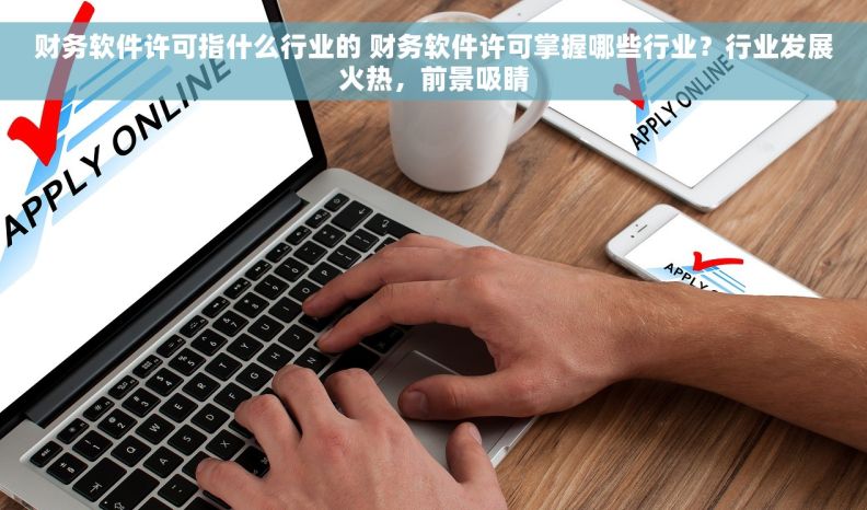 财务软件许可指什么行业的 财务软件许可掌握哪些行业？行业发展火热，前景吸睛