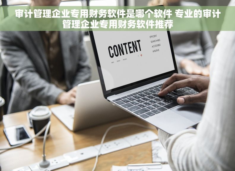 审计管理企业专用财务软件是哪个软件 专业的审计管理企业专用财务软件推荐