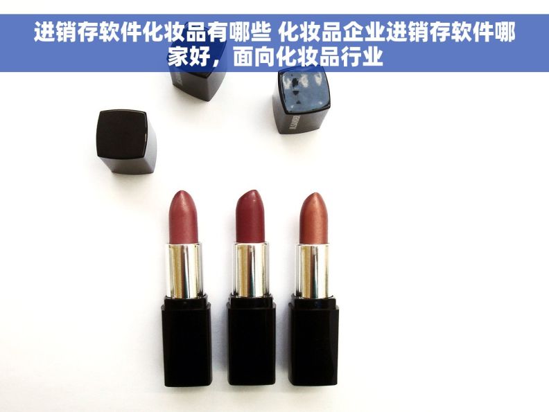 进销存软件化妆品有哪些 化妆品企业进销存软件哪家好，面向化妆品行业