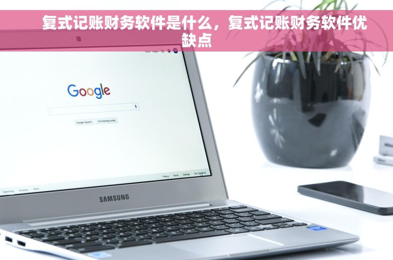     复式记账财务软件是什么，复式记账财务软件优缺点