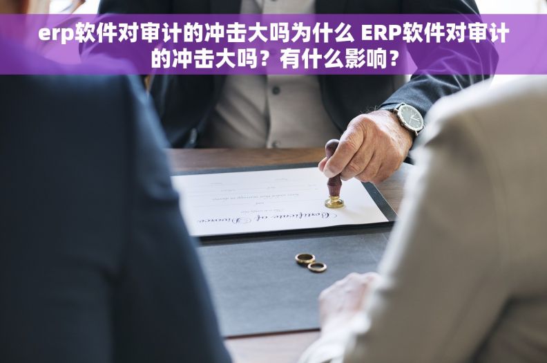 erp软件对审计的冲击大吗为什么 ERP软件对审计的冲击大吗？有什么影响？