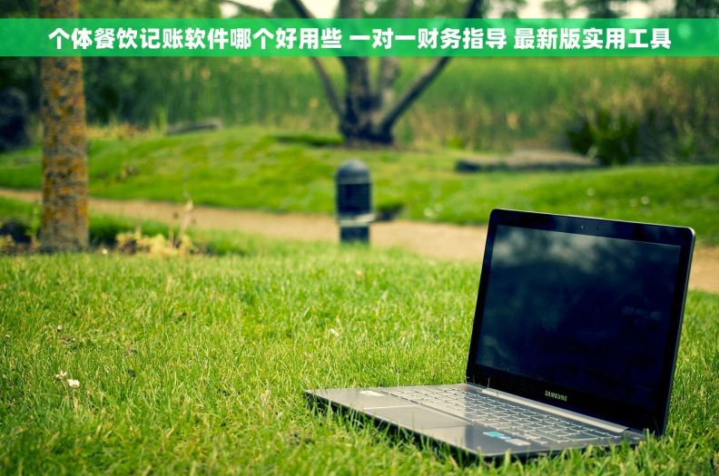 个体餐饮记账软件哪个好用些 一对一财务指导 最新版实用工具