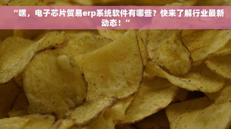 “嘿，电子芯片贸易erp系统软件有哪些？快来了解行业最新动态！”