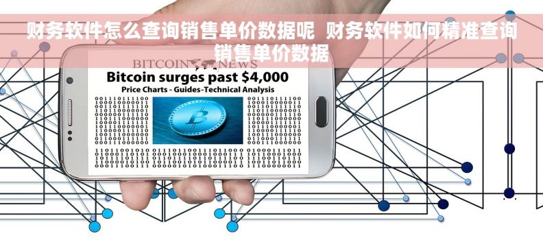 财务软件怎么查询销售单价数据呢  财务软件如何精准查询销售单价数据