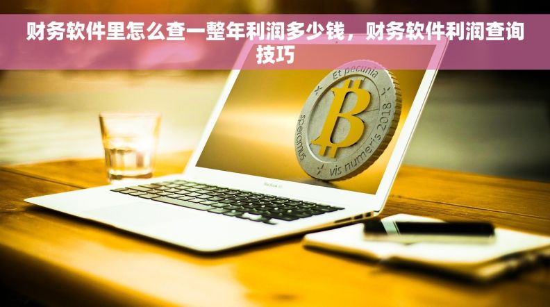 财务软件里怎么查一整年利润多少钱，财务软件利润查询技巧